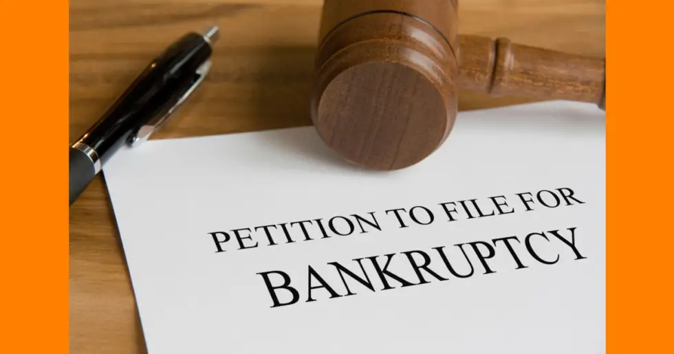 Bankruptcy Filings Search