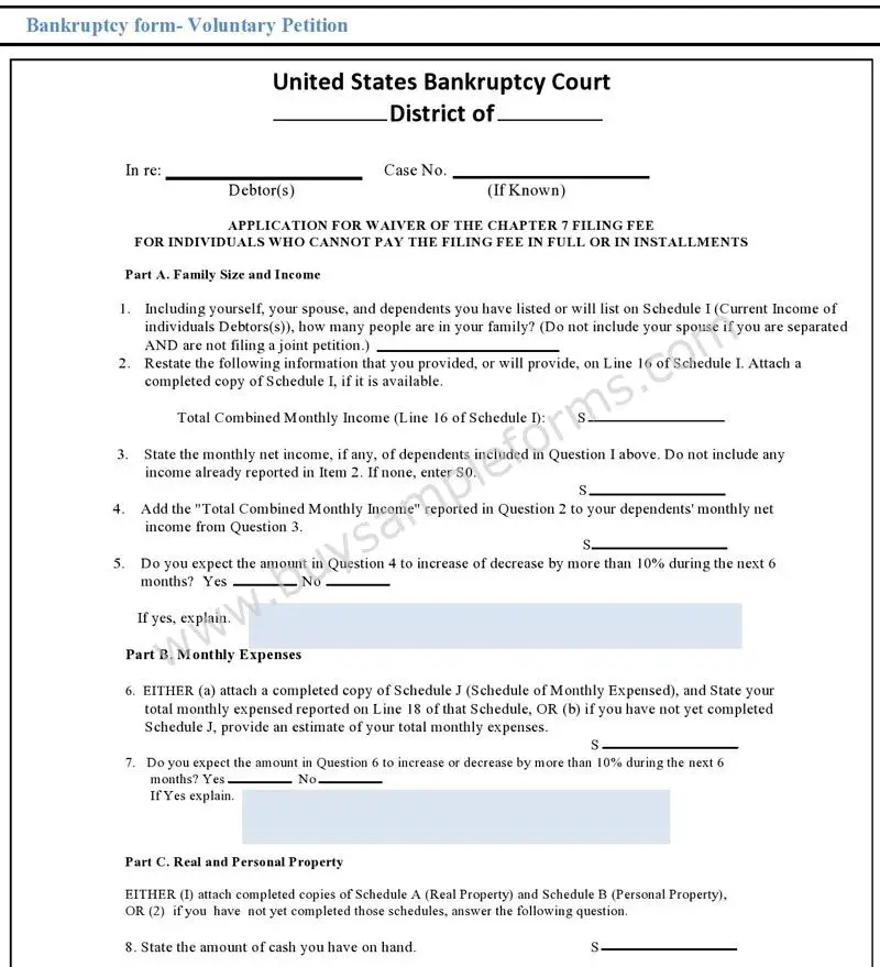 Fillable Bankruptcy Form
