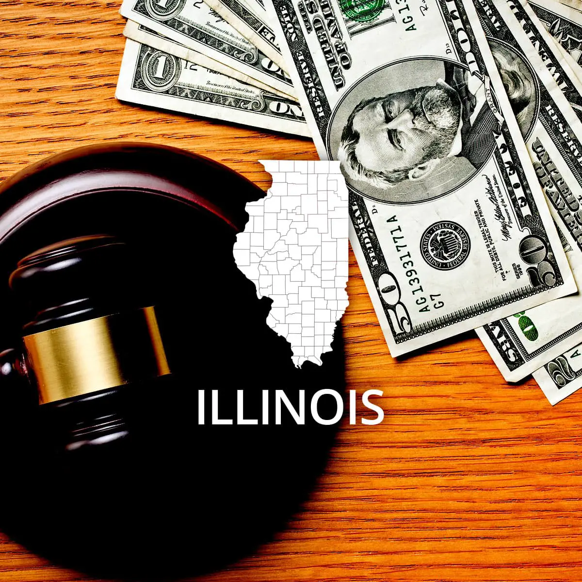 How to File Bankruptcy in Illinois