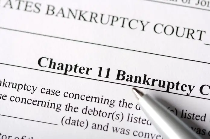 what does filing for bankruptcy mean for my business